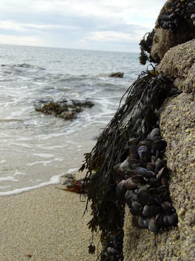 Serenite A La Holiday home Concarneau